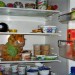 Garfield a peur
